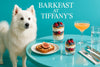 American Eskimo Dog standing at a Tiffany-blue table with layered berry yogurt parfaits, fig-topped toast, a peach cocktail, a glass of water, and silverware