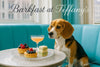 Beagle seated in a Tiffany-blue café booth with berry tarts, cucumber tea sandwiches on a crystal plate, and a peach cocktail