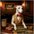 whippet wearing red bow tie at casino table with chips jar of chomp chips and sign