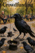 Crowdfunding humorous crows collecting coins funny animal metal print