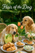 Two golden retrievers at a garden table with lemonade, croissants, pastries, and tulips under a “Hair of the Dog” sign