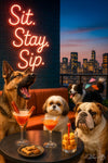 Dogs enjoying cocktails and treats at a rooftop lounge with neon sign that reads Sit Stay Sip – funny and vibrant metal artwork for dog lovers