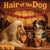 Hair of the Dog Afghan Hound 002 Ruff & Ready Funny Canine Art neon lights, bacon-woven flair, and egg murals