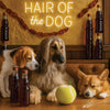 Hair of the Dog Afghan Shepherd 007 Ruff & Ready Funny Canine Art neon lights, bacon-woven flair, and egg murals