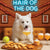 Hair of the Dog American Eskimo 004 Ruff & Ready Funny Canine Art neon lights, bacon-woven flair, and egg murals