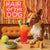 Hair of the Dog Basenji 006 Ruff & Ready Funny Canine Art neon lights, bacon-woven flair, and egg murals