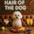 Hair of the Dog Bichon Frise 005 Ruff & Ready Funny Canine Art neon lights, bacon-woven flair, and egg murals