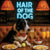 Hair of the Dog Border Collie 002 Ruff & Ready Funny Canine Art neon lights, bacon-woven flair, and egg murals