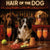 Hair of the Dog Border Collie 013 Ruff & Ready Funny Canine Art neon lights, bacon-woven flair, and egg murals