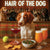 Hair of the Dog Brittany Spaniel 006 Ruff & Ready Funny Canine Art neon lights, bacon-woven flair, and egg murals