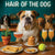 Hair of the Dog Bulldog 005 Ruff & Ready Funny Canine Art neon lights, bacon-woven flair, and egg murals