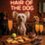 Hair of the Dog Chinese Crested 012 Ruff & Ready Funny Canine Art neon lights, bacon-woven flair, and egg murals