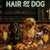 Hair of the Dog Dachshund 007 Ruff & Ready Funny Canine Art neon lights, bacon-woven flair, and egg murals