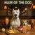 Hair of the Dog Dogo Argentino 001 Ruff & Ready Funny Canine Art neon lights, bacon-woven flair, and egg murals