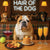 Hair of the Dog English Bulldog 003 Ruff & Ready Funny Canine Art neon lights, bacon-woven flair, and egg murals