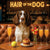 Hair of the Dog English Springer Spaniel 001 Ruff & Ready Funny Canine Art neon lights, bacon-woven flair, and egg murals