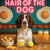 Hair of the Dog English Springer Spaniel 002 Ruff & Ready Funny Canine Art neon lights, bacon-woven flair, and egg murals