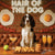 Hair of the Dog English Springer Spaniel 007 Ruff & Ready Funny Canine Art neon lights, bacon-woven flair, and egg murals