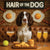 Hair of the Dog English Springer Spaniel 011 Ruff & Ready Funny Canine Art neon lights, bacon-woven flair, and egg murals