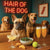Hair of the Dog French Bulldog 004 Ruff & Ready Funny Canine Art neon lights, bacon-woven flair, and egg murals