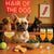 Hair of the Dog French Bulldog 015 Ruff & Ready Funny Canine Art neon lights, bacon-woven flair, and egg murals