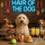 Hair of the Dog Goldendoodle 007 Ruff & Ready Funny Canine Art neon lights, bacon-woven flair, and egg murals