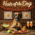 Hair of the Dog Great Dane 007 Ruff & Ready Funny Canine Art neon lights, bacon-woven flair, and egg murals