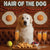 Hair of the Dog Great Pyrenees 002 Ruff & Ready Funny Canine Art neon lights, bacon-woven flair, and egg murals