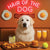 Hair of the Dog Great Pyrenees 012 Ruff & Ready Funny Canine Art neon lights, bacon-woven flair, and egg murals