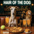 Hair of the Dog Greyhound 008 Ruff & Ready Funny Canine Art neon lights, bacon-woven flair, and egg murals