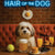 Hair of the Dog Havanese 004 Ruff & Ready Funny Canine Art neon lights, bacon-woven flair, and egg murals