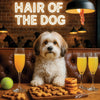 Hair of the Dog Havanese 008 Ruff & Ready Funny Canine Art neon lights, bacon-woven flair, and egg murals