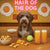 Hair of the Dog Lagotto Romagnol 012 Ruff & Ready Funny Canine Art neon lights, bacon-woven flair, and egg murals