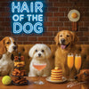 Hair of the Dog Maltese 002 Ruff & Ready Funny Canine Art neon lights, bacon-woven flair, and egg murals
