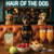 Hair of the Dog Miniature Pinscher 002 Ruff & Ready Funny Canine Art neon lights, bacon-woven flair, and egg murals
