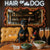 Hair of the Dog Miniature Pinscher 011 Ruff & Ready Funny Canine Art neon lights, bacon-woven flair, and egg murals
