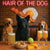 Hair of the Dog Mudi 007 Ruff & Ready Funny Canine Art neon lights, bacon-woven flair, and egg murals