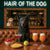 Hair of the Dog Mudi 012 Ruff & Ready Funny Canine Art neon lights, bacon-woven flair, and egg murals