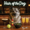 Sunrise Snout shines with Norwegian Elkhound 002 under neon lights, bacon-woven flair, and egg murals. Ruff, ready, ridiculously fun dog art on metal!