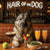 Sunrise Snout shines with Norwegian Elkhound 010 under neon lights, bacon-woven flair, and egg murals. Ruff, ready, ridiculously fun dog art on metal!