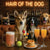 Norwegian Lundehund 014 Four dogs at a bar with drinks and snacks, featuring a neon sign 'Hair of the Dog'.