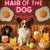 Hair of the Dog Papillon 013 Ruff & Ready Funny Canine Art neon lights, bacon-woven flair, and egg murals