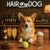 Hair of the Dog Pembroke Welsh Corgi 015 Ruff & Ready Funny Canine Art neon lights, bacon-woven flair, and egg murals