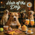 Hair of the Dog Pit Bull 004 Ruff & Ready Funny Canine Art neon lights, bacon-woven flair, and egg murals
