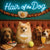 Hair of the Dog Pomeranian 002 Ruff & Ready Funny Canine Art neon lights, bacon-woven flair, and egg murals