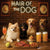 Hair of the Dog Pomeranian 011 Ruff & Ready Funny Canine Art neon lights, bacon-woven flair, and egg murals