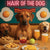 Hair of the Dog Rhodesian Ridgeback 003 Ruff & Ready Funny Canine Art neon lights, bacon-woven flair, and egg murals