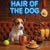 Hair of the Dog Russell Terrier 010 Ruff & Ready Funny Canine Art neon lights, bacon-woven flair, and egg murals