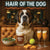 Hair of the Dog Saint Bernard 010 Ruff & Ready Funny Canine Art neon lights, bacon-woven flair, and egg murals