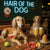 Hair of the Dog Saluki 008 Ruff & Ready Funny Canine Art neon lights, bacon-woven flair, and egg murals